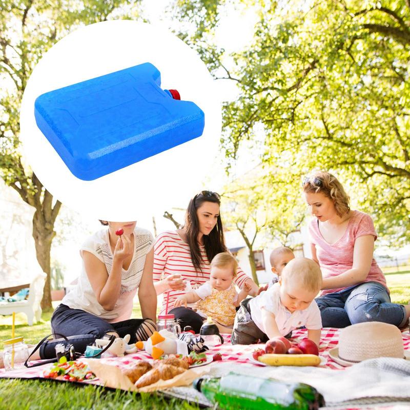 Caja de cristal de hielo para  - Outdoor Camping Fridge reseña y precio