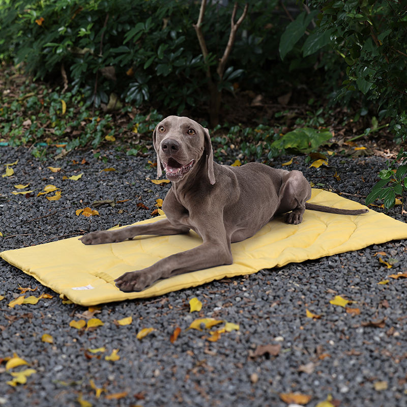 Alfombrilla portátil plegable  - Outdoor Camping Rugs reseña y precio