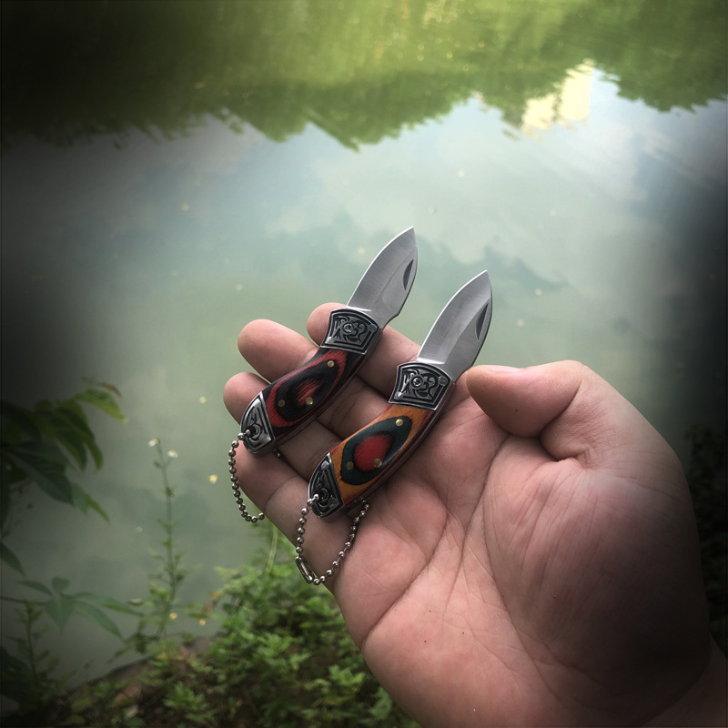 Cuchillo pequeño para exterior - Zd Outdoor Camping reseña y precio