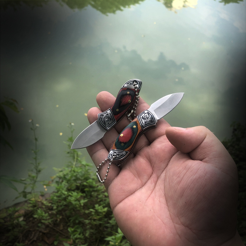 Cuchillo pequeño para exterior - Zd Outdoor Camping reseña y precio