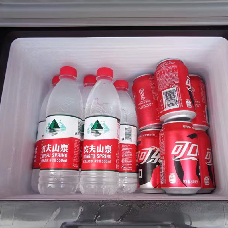Alpicool Mini Refrigerador de  - Outdoor Camping Fridge reseña y precio