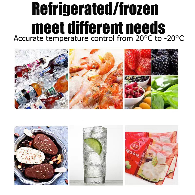 Alpicool Mini Refrigerador de  - Outdoor Camping Fridge reseña y precio